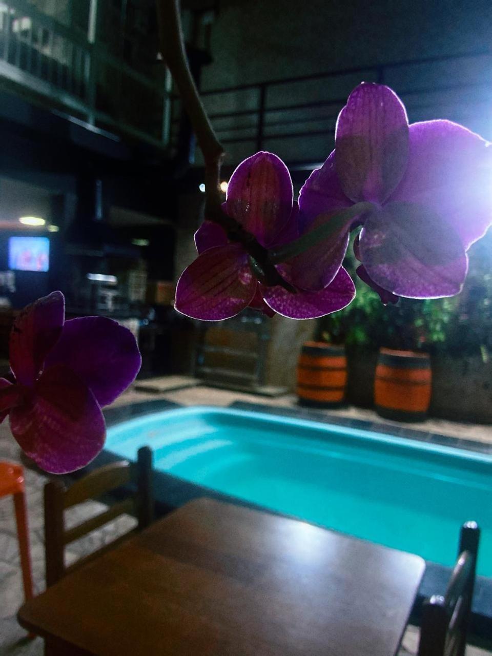 Hostel Gravata Piracicaba Extérieur photo
