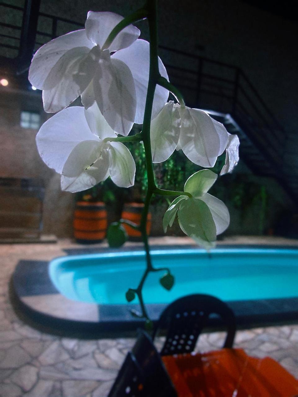 Hostel Gravata Piracicaba Extérieur photo